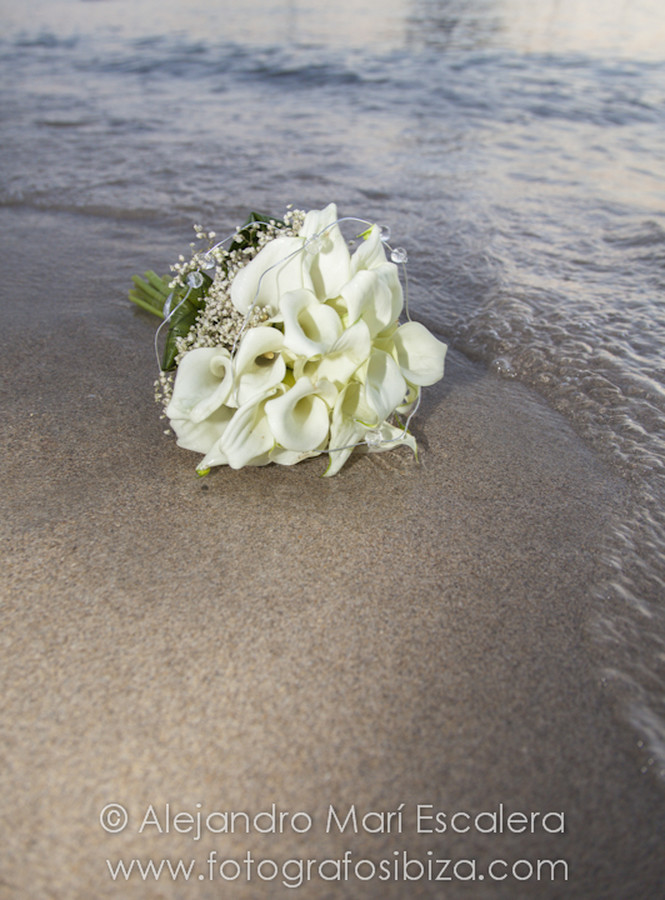 Postboda Yeleny-3647