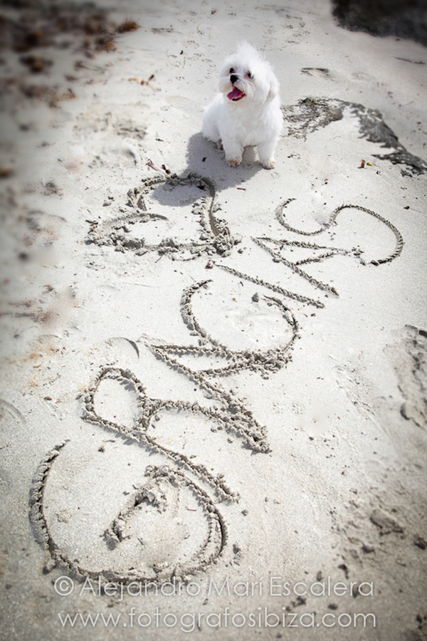 Boda Ibiza Fotografosibiza.com-3