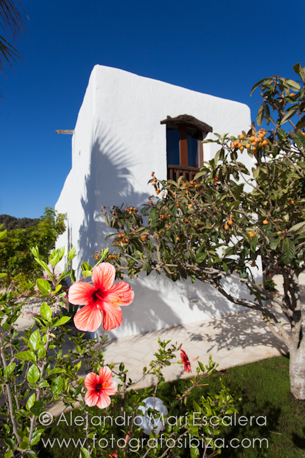 Fotografia villas casa Frasesch ibiza-2-2