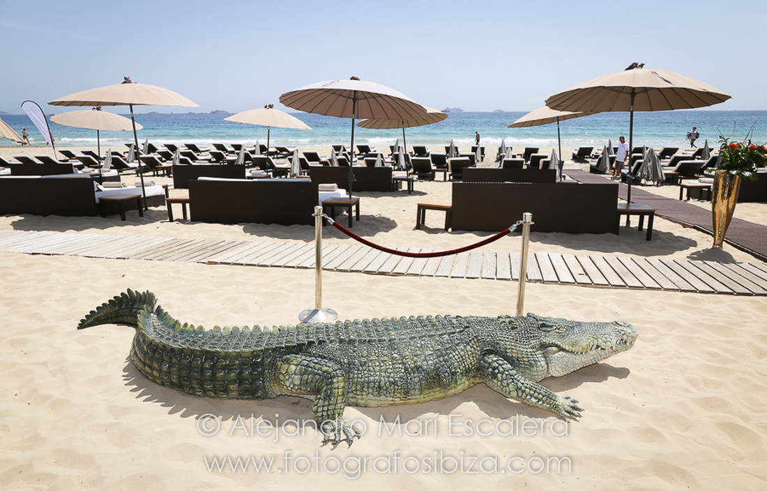 Events Ibiza Fotografos-3