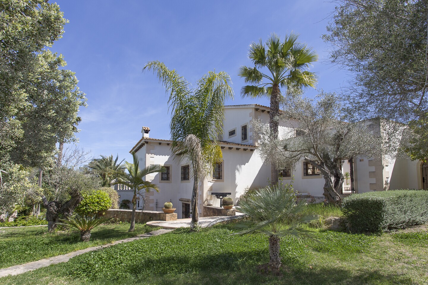 LOS OLIVOS Fotografosibiza.com (75 de 85)